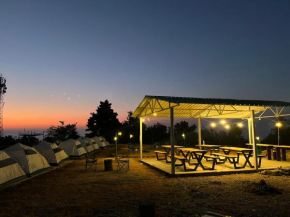 Kunjapuri camps